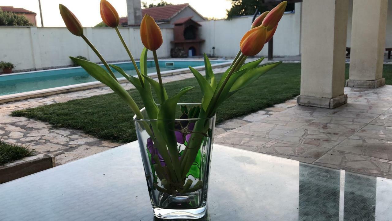Villa Pistan Murvica  ภายนอก รูปภาพ